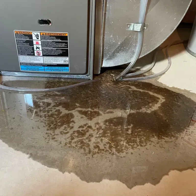 Appliance Leak Cleanup in Rogers County, OK